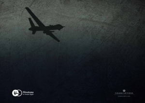 Shadow of a war plane.