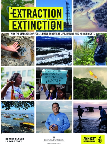 Extraction/Extinction