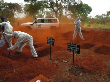 Project on War Crimes and Mass Graves in the Central African Republic