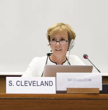 Strengthening Global and Regional Human Rights Mechanisms